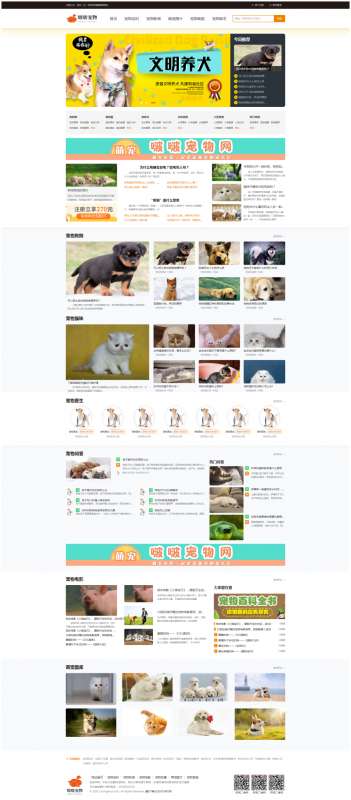 啵啵寵物網(wǎng)站建設(shè)案例